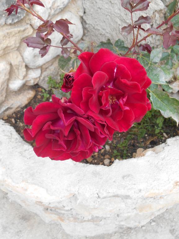 Le Mas Des Baux 베두엥 외부 사진