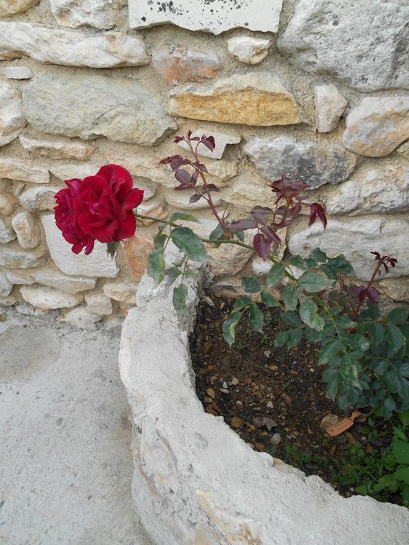Le Mas Des Baux 베두엥 외부 사진